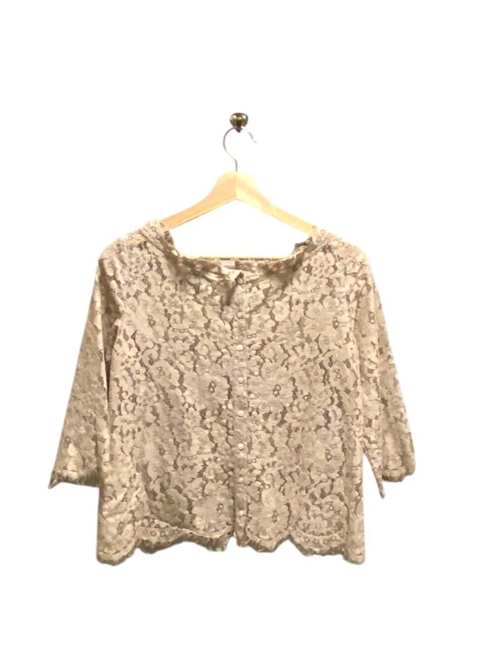 Joie Allover Lace Blouse Beige Size S Romantic Coquette Spring Neutral Bohemian - Picture 11 of 13